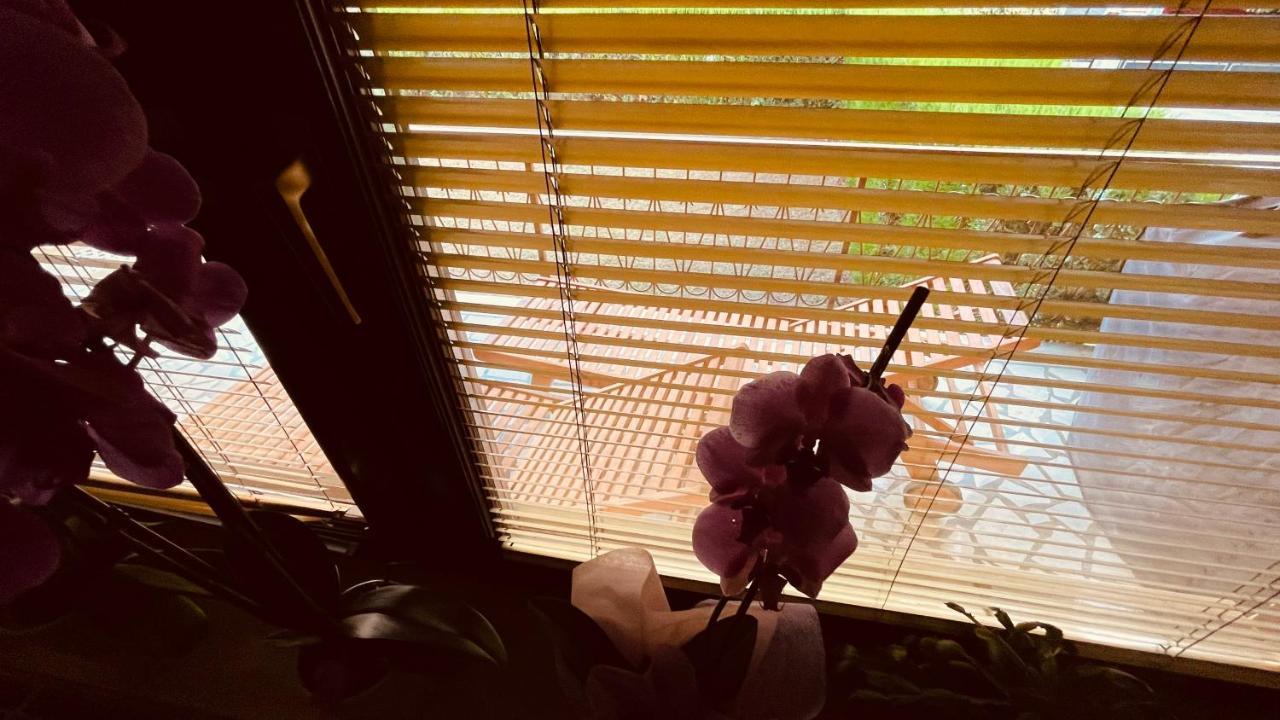 The Secret Orchid Διαμέρισμα Ρόβινι Εξωτερικό φωτογραφία
